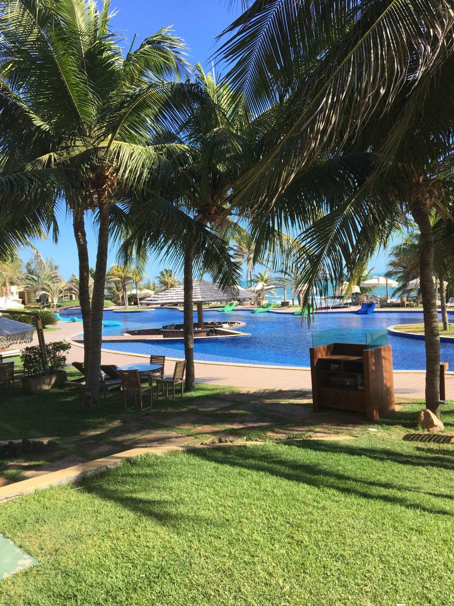 piscina de fundo com grama e coqueiros a frente