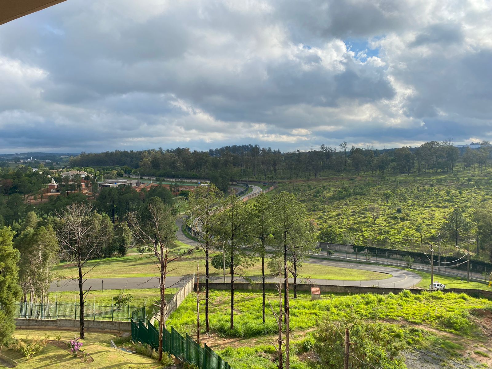 visão de campo verde com gramado